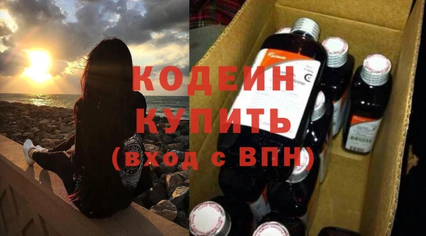 спиды Богородицк